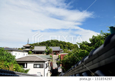 叡福寺(西方院からの遠望)　【大阪府南河内郡太子町】 131854297