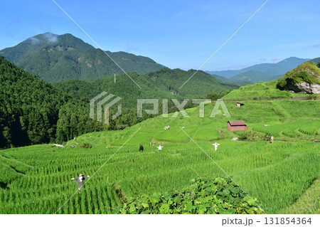 三重 三重県 丸山千枚田 三重 三重県 丸山千枚田 131854364