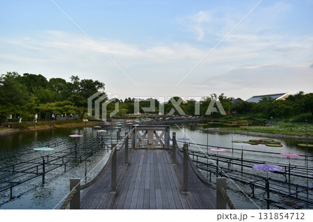 三重　三重県　なばなの里 131854712