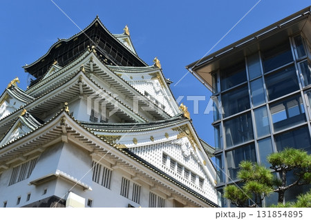 大阪 城 お城 大阪城 大阪 城 お城 大阪城 131854895