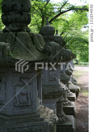 寺院の石灯籠と新緑 131854930