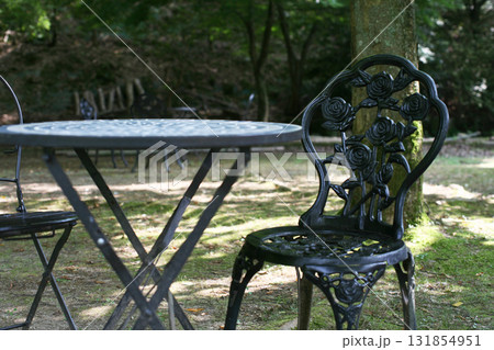 森の公園のテーブルと椅子 131854951