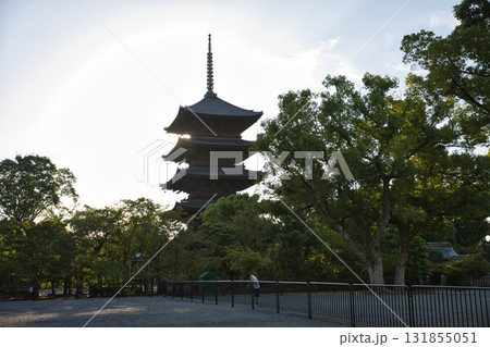 東寺さん 金堂をお参りする1 東寺さん 金堂をお参りする1 131855051