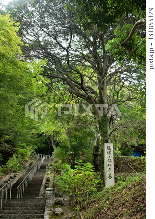 小野妹子墓 【大阪府南河内郡太子町】 小野妹子墓 【大阪府南河内郡太子町】 131855129
