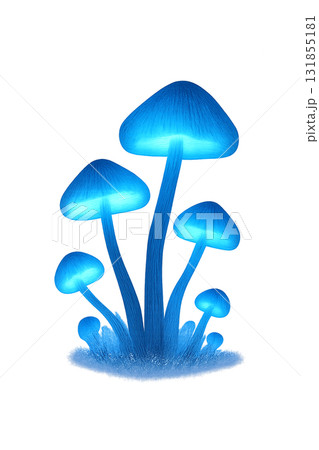 夜に光るキノコの群生 — Bioluminescent Mushrooms at Night 131855181