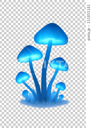 夜に光るキノコの群生 — Bioluminescent Mushrooms at Night 131855181