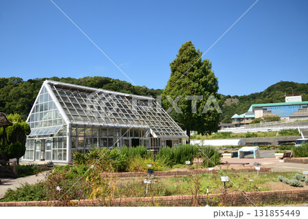 西庄ふれあいの郷(ハーブ園)　　【和歌山県和歌山市】 131855449