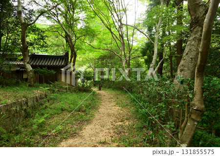 高貴寺(参道) 【大阪府南河内郡河南町】 高貴寺(参道) 【大阪府南河内郡河南町】 131855575
