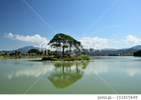 平池緑地公園　【和歌山県紀の川市貴志川町】　 131855648