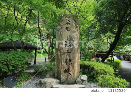 高千穂渓谷 高千穂渓 高千穂峡 131855894