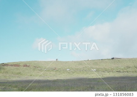 広がる草原と青空のシンプルな風景 広がる草原と青空のシンプルな風景 131856083