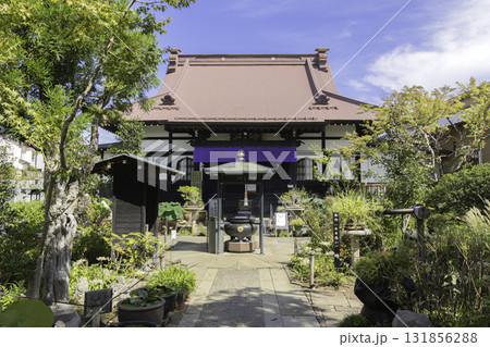 神奈川県大和市・常泉寺の彼岸花と緑に囲まれた境内の風景 神奈川県大和市・常泉寺の彼岸花と緑に囲まれた境内の風景 131856288