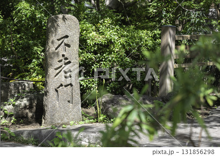 神奈川県大和市・常泉寺の彼岸花と緑に囲まれた境内の風景 神奈川県大和市・常泉寺の彼岸花と緑に囲まれた境内の風景 131856298