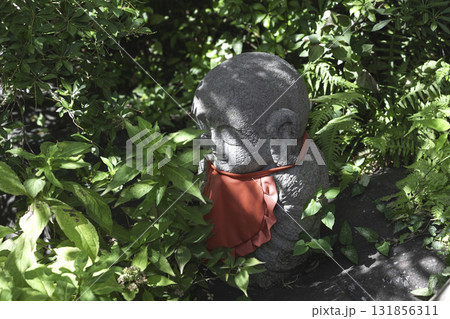神奈川県大和市・常泉寺の彼岸花と緑に囲まれた境内の風景 131856311