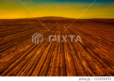 夕日に染まる畑 131856859