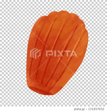 Madeleine watercolor hand-drawn illustration 131857032