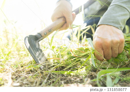 草刈りをする 草刈りをする 131858077
