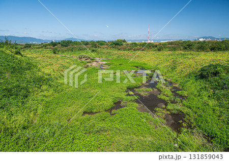 木津川にそそぐ支流　京都府八幡市 131859043