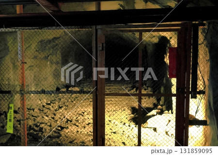 松代大本営跡 131859095