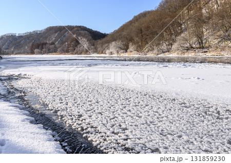 北海道むかわ町、フロストフラワーが現れた鵡川【12月】 131859230