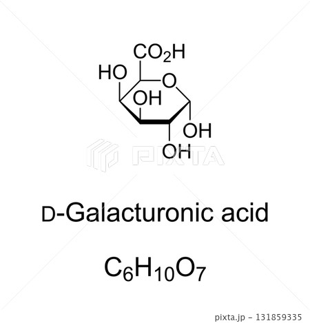 D-Galacturonic acid, chemical formula and structure. D-Galacturonopyranose, sugar acid and oxidized form of D-galactose. Main component of pectin, in which it exists as polymer polygalacturonic acid. 131859335