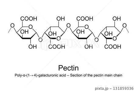 Pectin, section of the pectin main chain, molecular structure. Polymer of galacturonic acid residues, linked by glycosidic bonds, forming the main backbone of pectins. Isolated illustration. Vector 131859336