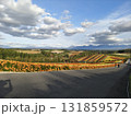 鮮やかな花畑 131859572