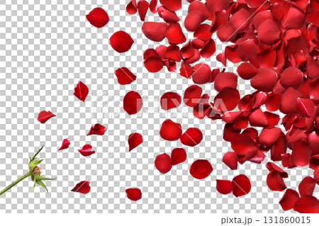 A floral shadowless background with bright red rose petals flying A floral shadowless background with bright red rose petals flying 131860015
