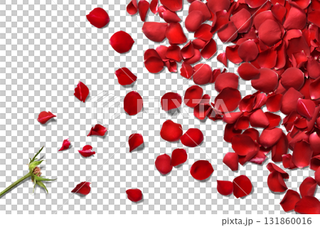 A floral shadowed background with bright red rose petals flying 131860016