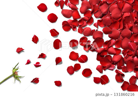 真っ赤な薔薇の花びらが舞う、フローラルな背景 真っ赤な薔薇の花びらが舞う、フローラルな背景 131860216
