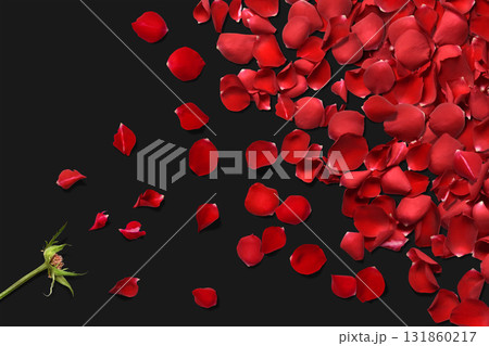 真っ赤な薔薇の花びらが舞う、フローラルな背景 131860217