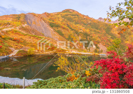 紅葉の八方山早朝ハイキングと北アルプス朝焼け 131860508