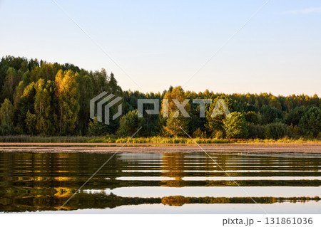 Serene Riverbank Scene with Lush Greenery 131861036