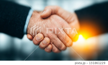 Two Business Professionals Shaking Hands in a Bright Modern Office Celebrating Secure Financial Agreement Completion and Trust 131861229