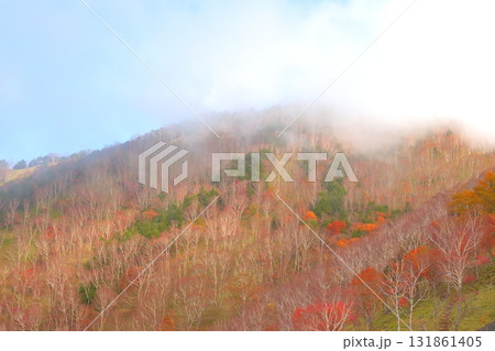 栃木 日光 中禅寺湖展望台付近からの眺望(足尾側) 栃木 日光 中禅寺湖展望台付近からの眺望(足尾側) 131861405