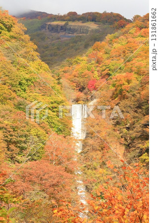 紅葉の華厳の滝 131861662