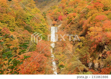 紅葉の華厳の滝 131861666