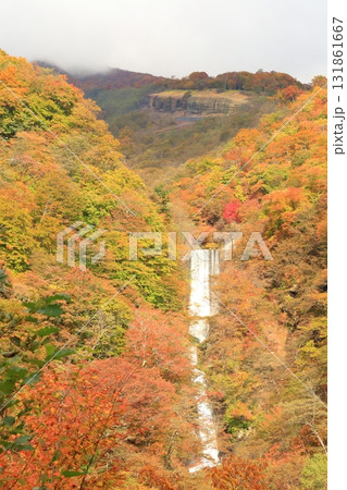 紅葉の華厳の滝 紅葉の華厳の滝 131861667