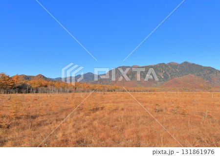 紅葉の奥日光・戦場ヶ原 131861976