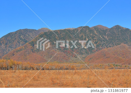 紅葉の奥日光・戦場ヶ原 131861977