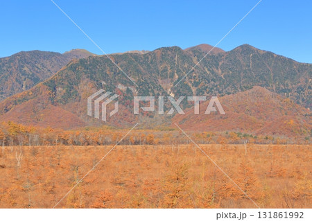 紅葉の奥日光・戦場ヶ原 131861992