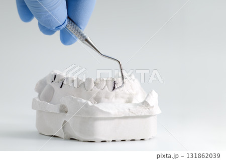 Dental tool examining plaster teeth model 131862039