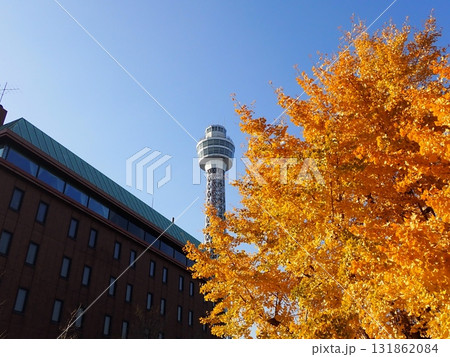 横浜マリンタワーとイチョウ 131862084