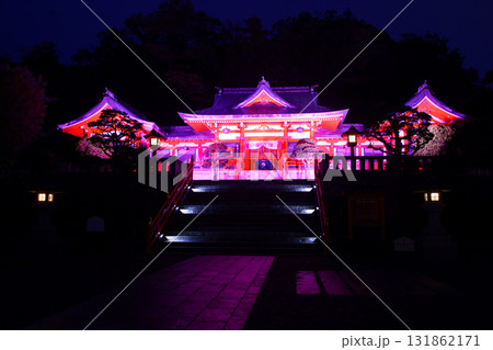足利市　足利織姫神社　ピンクライトアップ 131862171