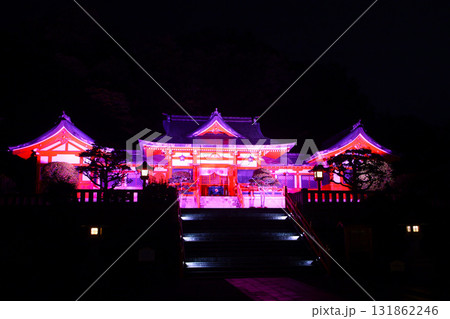 足利市　足利織姫神社　ピンクライトアップ 131862246
