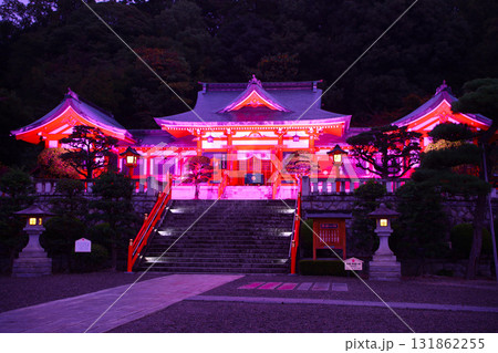 足利市　足利織姫神社　ピンクライトアップ 131862255