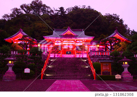 足利市 足利織姫神社 ピンクライトアップ 足利市 足利織姫神社 ピンクライトアップ 131862308