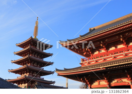 満開の桜と浅草寺宝蔵門　東京の観光地　 131862364