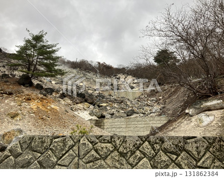 新湯爆裂噴火跡_あらゆばくれつふんかあと_ 奥塩原新湯温泉 新湯爆裂噴火跡_あらゆばくれつふんかあと_ 奥塩原新湯温泉 131862384