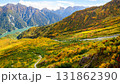 立山黒部アルペンルート　大観峰の紅葉と黒部湖遠望　富山県 131862390